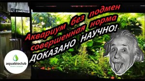 Аквариум без подмен воды научное обоснование содержания. Основы содержания растительного аквариума.