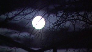 "Фрау Мария". 2001 год