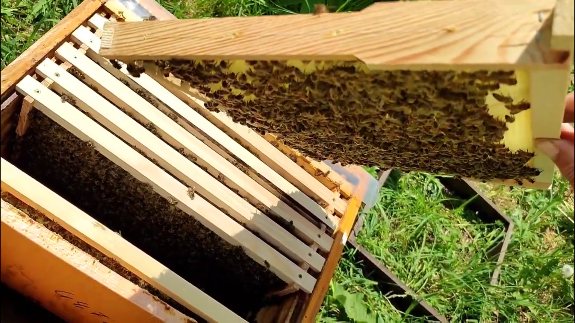 Литая вощина на жаре смотреть онлайн