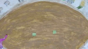 Смешной цирк 1Д