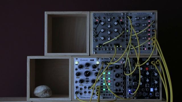 MATHS + Ensemble Oscillator Emotional Synth Lead Ambient / Mob of Emus Beads Mimeophon Volca смотреть онлайн