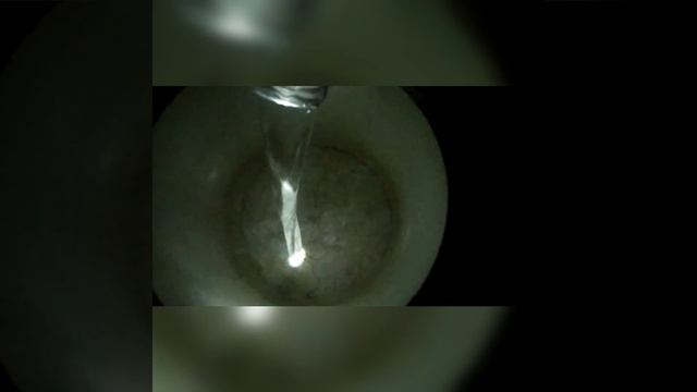 |total internal reflection in water|homemade experiments|optical fibre| #shorts смотреть онлайн