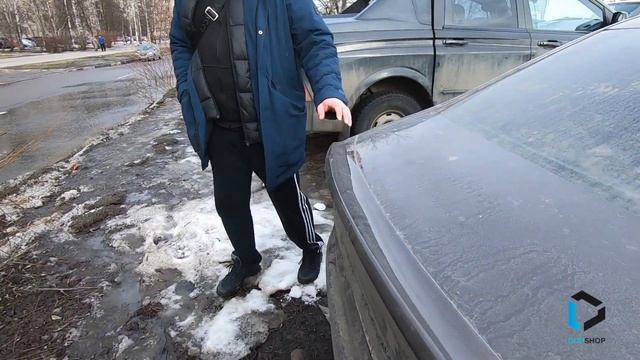 Нетипичный веставод. Нашли во дворах весту. смотреть онлайн