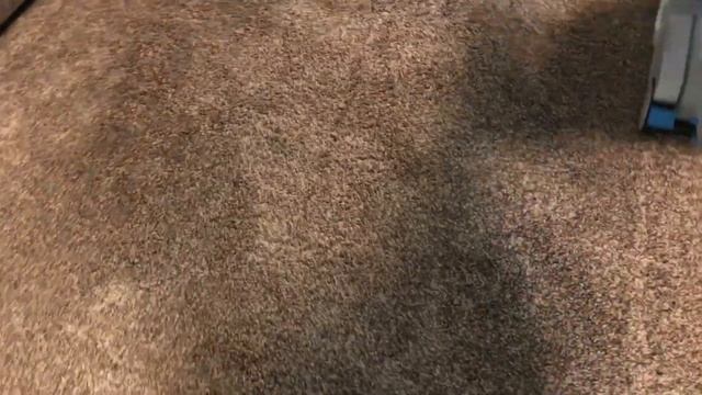 Natural Vacuuming Sounds | Sleep | Relax | Focus | Stress Relief | Workhorse Vacuum | смотреть онлайн