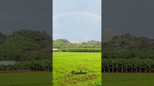 #rainbownature | #Nature’s wonder #nature | #evergreennagercoil 🌈 смотреть онлайн