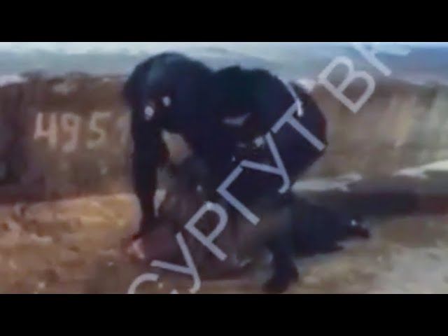 В Сургуте полицейские задержали женщину, которая отказалась надевать маску в автобусе смотреть онлайн