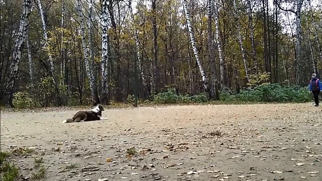 Команда лежать17 10 16 смотреть онлайн