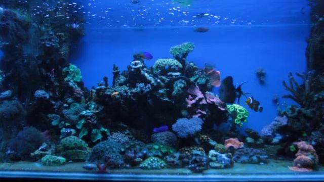 150 литров моря (кормление) смотреть онлайн