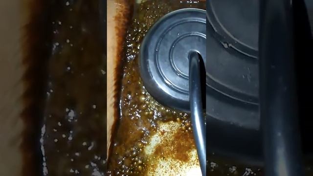 Ion Detox(4) смотреть онлайн
