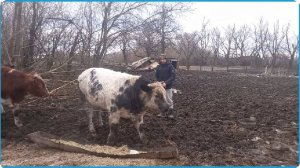 СДЕЛАЛ ТО ЧТО ДАВНО НУЖНО БЫЛО - РЕЗУЛЬТАТОМ ДОВОЛЕН,  ЖИЗНЬ В ДЕРЕВНЕ