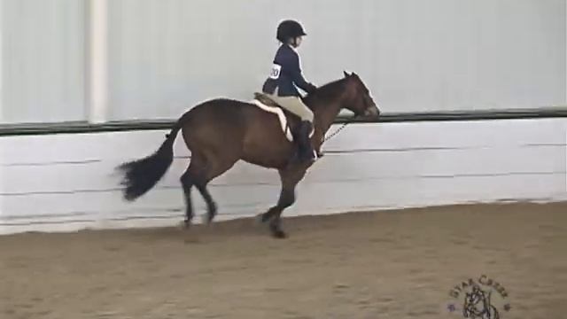 Charlise Casas & Red Drum's Patriot - Led A2 Mar 2011 смотреть онлайн