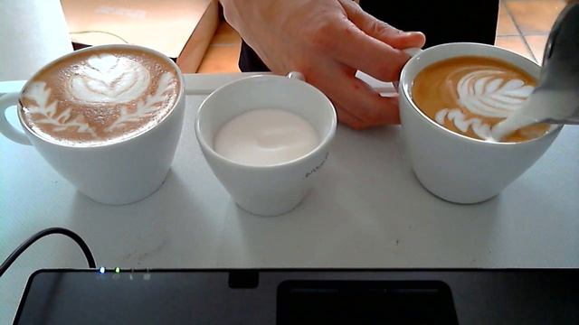 4 step tulip double crappy rosetta смотреть онлайн