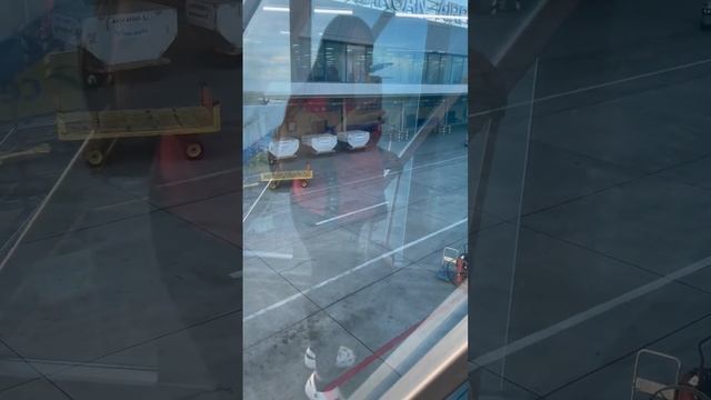 See you Philippines, Hello America | #Shorts #Philippines #America смотреть онлайн