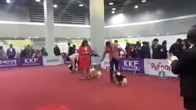 люк 2 смотреть онлайн