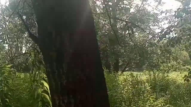 ЧМЭ3 на перегоне Ирпень-Буча смотреть онлайн