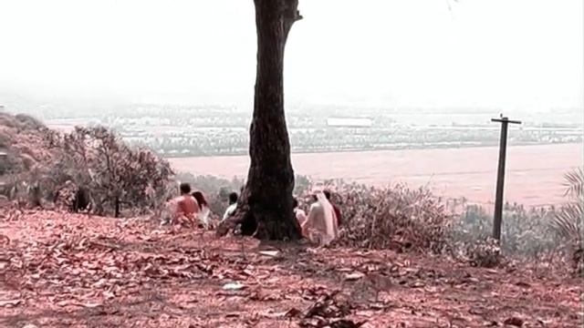 Pik Khup, Punn Vauradi Todde. (Konkani spiritual song based on Luk 10:2 ) | Manfil Film Production. смотреть онлайн