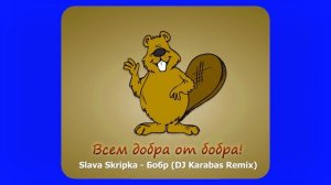 Slava Skripka - Бобр (DJ Karabas Remix)