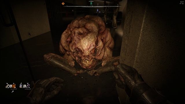 S.T.A.L.K.E.R. 2 Heart of Chornobyl добрая плоть смотреть онлайн