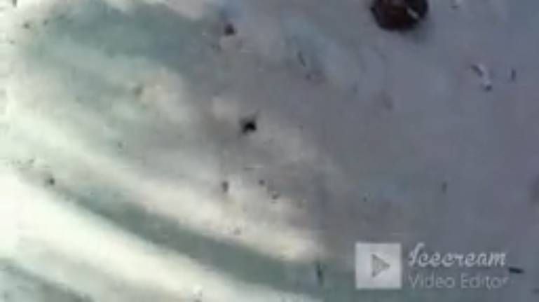 Алкоголь на Мальдивах? Не! Не слышали.... смотреть онлайн