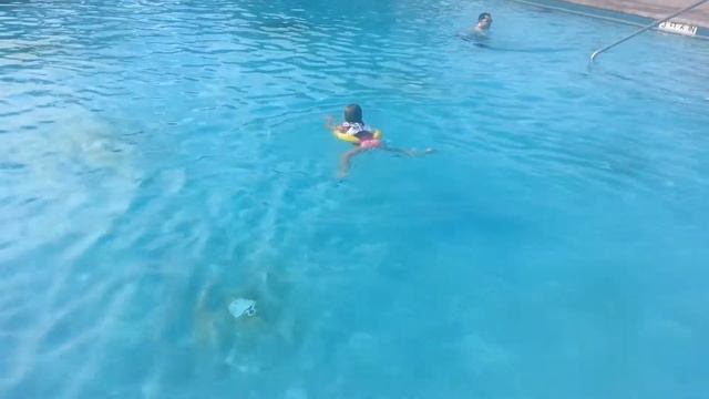 SWIMTRAINER Classic training смотреть онлайн