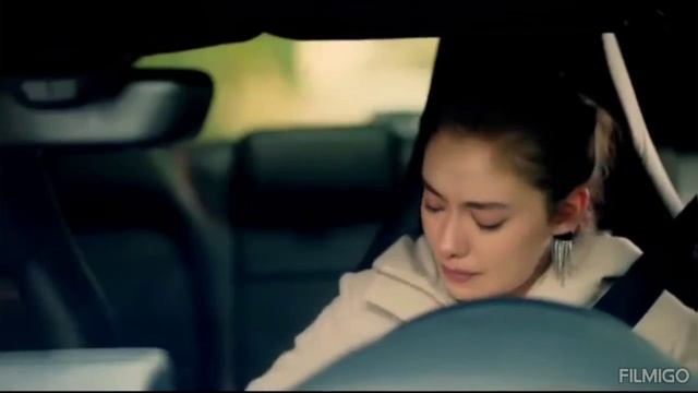 Gemini-Fucking Prison