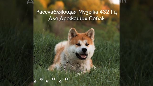 Ззз смотреть онлайн