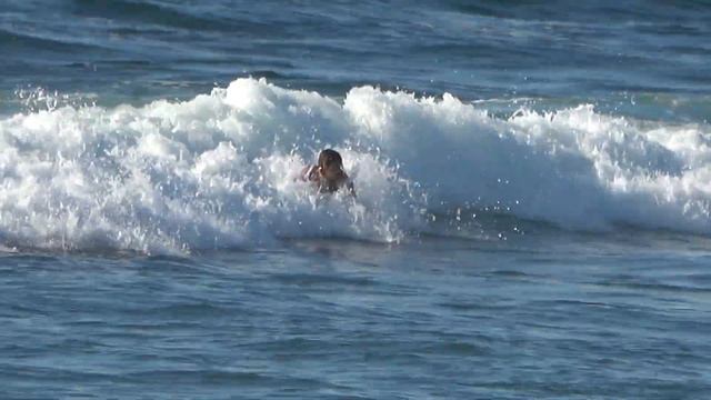 JULES LEPECHEUX Surfing CYBERCAT ROOIBOS 7'2