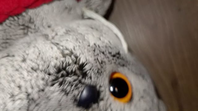 1000003391.mp4 смотреть онлайн