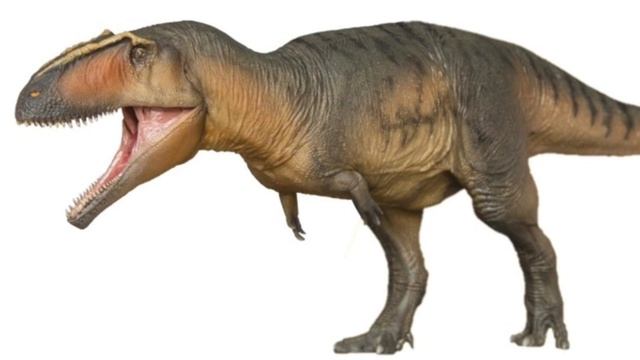 Giga (Giganotosaurus carolinii) Sounds смотреть онлайн