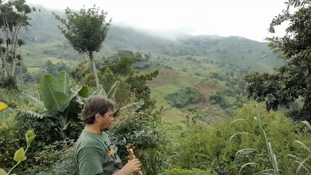 MAHENGE - Baby Elephant Walk (Henry Mancini) 🇹🇿 смотреть онлайн