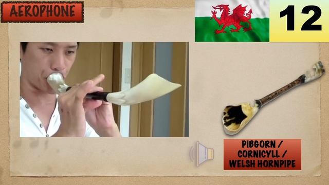 18 MUSICAL INSTRUMENTS OF WALES | LESSON #87 |  MUSICAL INSTRUMENTS | LEARNING MUSIC HUB