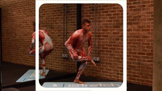Piriformis HIP Stretch for All standing squat – iStretch смотреть онлайн
