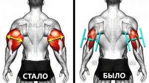 14 ЛУЧШИХ УПРАЖНЕНИЙ ДЛЯ ТРИЦЕПСА В ТРЕНАЖЕРНОМ ЗАЛЕ.