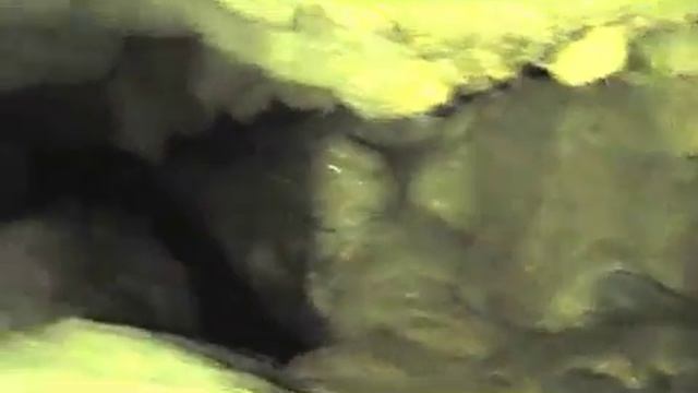 Природная вода эталонного качества! смотреть онлайн