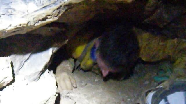 GUS vidéo Sous le gd pré.AVI смотреть онлайн