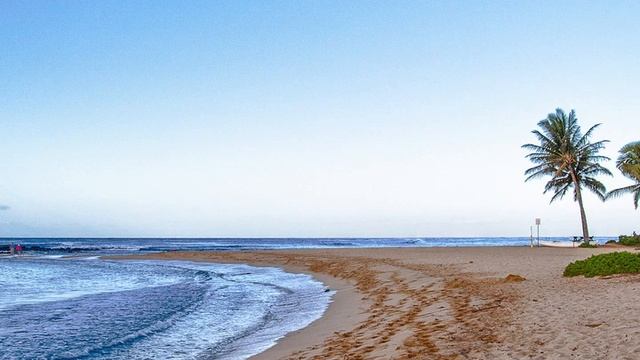 Chill Beach - Chill Background Music смотреть онлайн