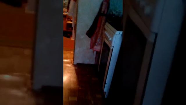 Вопрос и ответ #1" от ионы ляпиной" смотреть онлайн