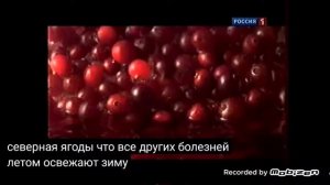 русский дар квас клюква 2010 реклама