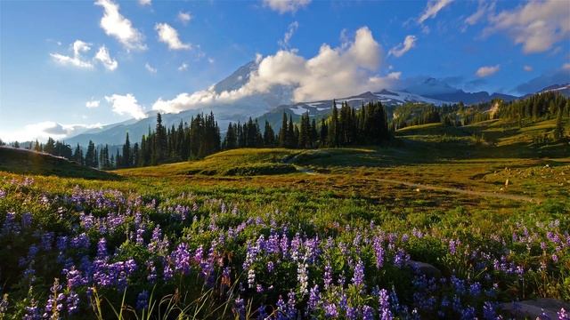 (3 hours) 4K UHD Relaxation video Mount Rainier National Park Washington State, Nature Sounds - 1_00 смотреть онлайн