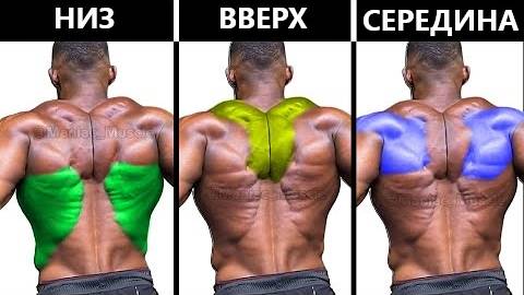 Тренировка всей спины-широчайших мышц спины - трапеций - средняя часть спины. смотреть онлайн