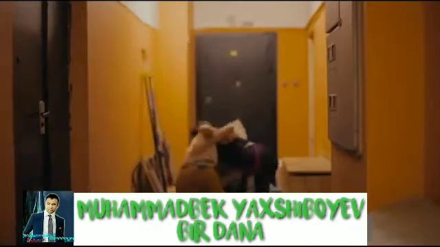🎙Muhammadbek Yaxshiboyev 🎼Bir Dana 🔊Audiosigi Ishlangan 🎬Vidio Mantajior Shavkat 🎹Terma klip t смотреть онлайн