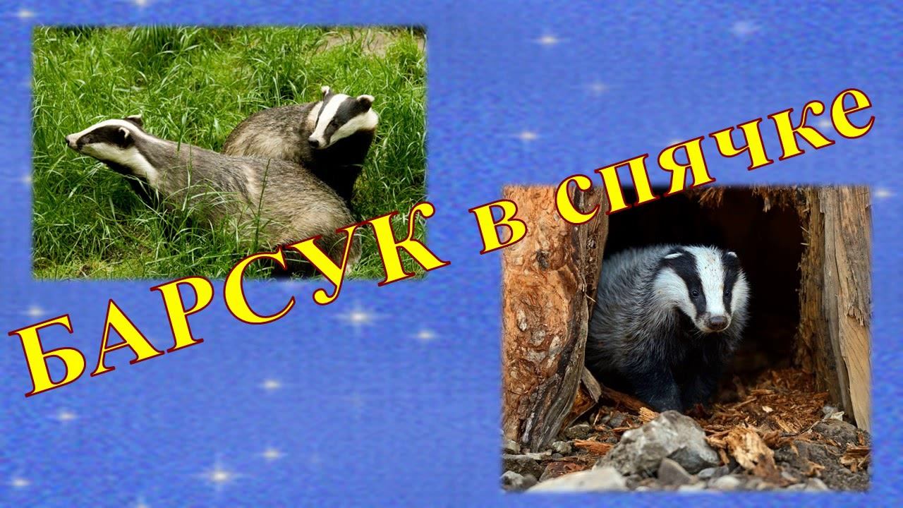 Новая шубейка смотреть онлайн