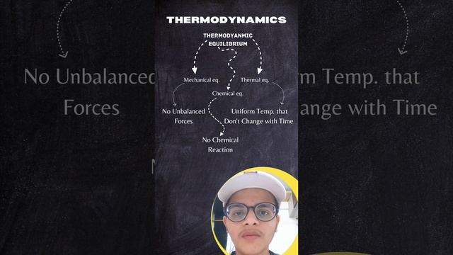 Thermodynamic Equilibrium🔥 | #14 Thermodynamics Physics смотреть онлайн
