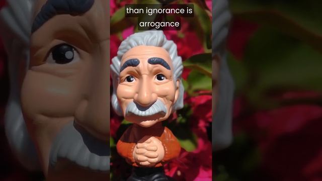 Ignorance & Arrogance Einstein Says #shorts #ignorance #arrogance смотреть онлайн