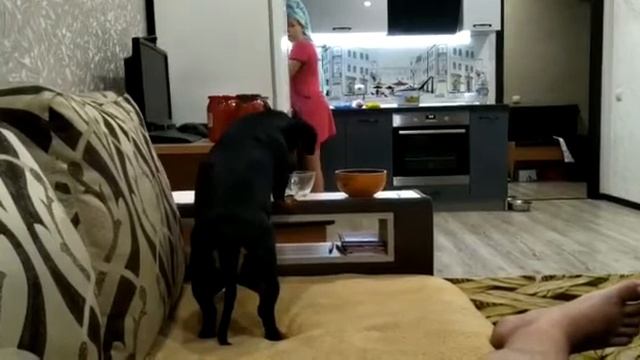 Любим кофе с утречка смотреть онлайн