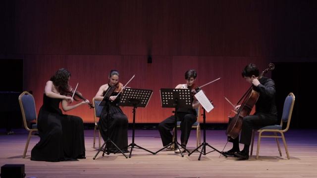 Струнный квартет Amici смотреть онлайн