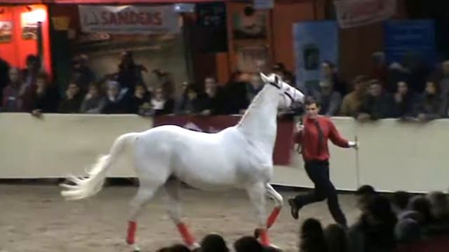 Modesto () смотреть онлайн