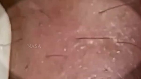 مهارة الحماية NASA168