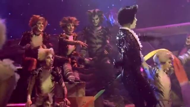 Мюзикл кошки смотреть онлайн