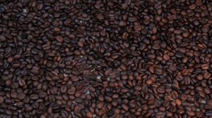 Заставка для кофейни. Пример видео заставки.